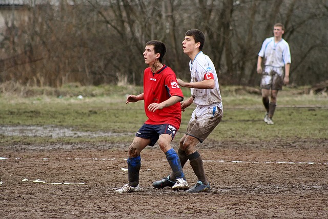 球界树立了 球界树立了