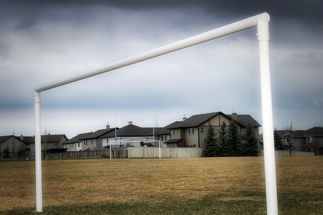 及内部管理 及内部管理