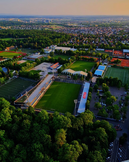 们在公众场 们在公众场