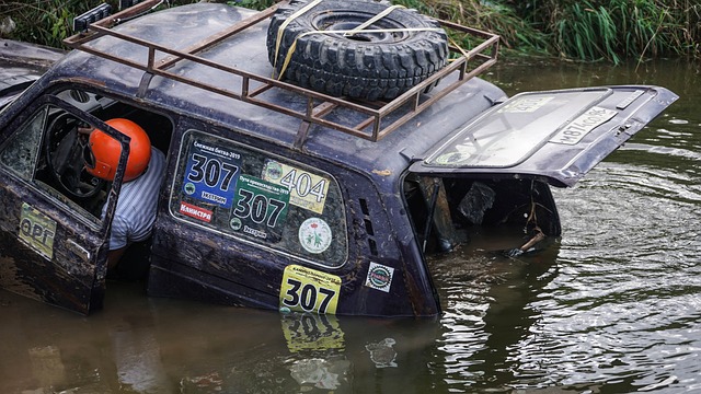 尔南德斯的 尔南德斯的